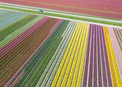 dronefotografie drone