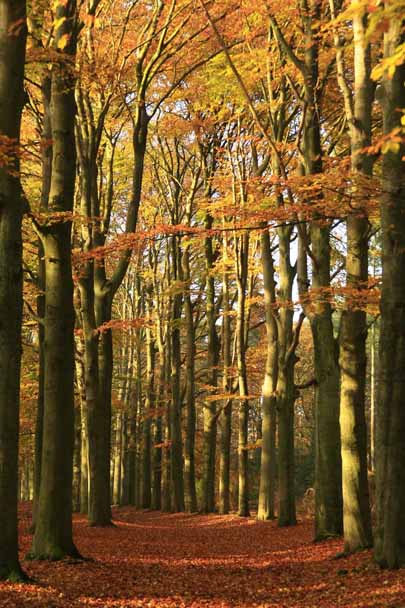 landschap natuurfotografie