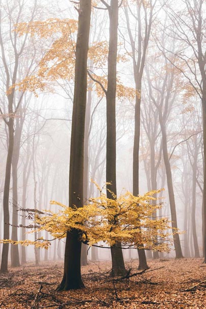 landschap natuurfotografie
