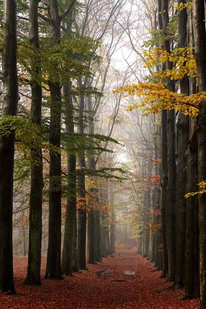 landschap natuurfotografie