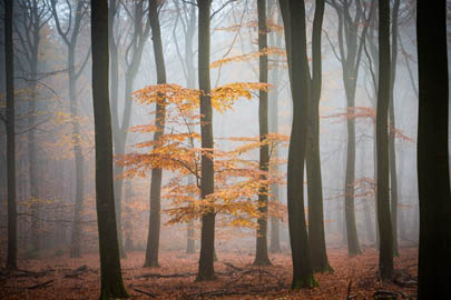 landschap natuurfotografie