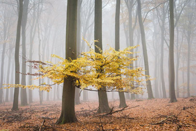 landschap natuurfotografie