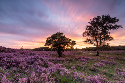 landschap natuurfotografie