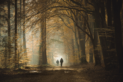 landschap natuurfotografie