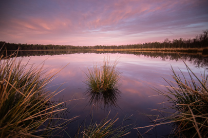 landschap natuurfotografie